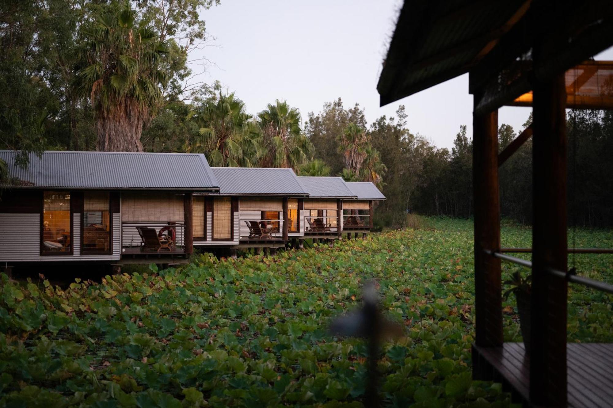 The Boathouses At Leaves & Fishes Lovedale Exteriör bild