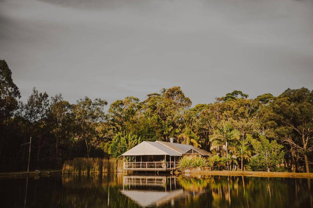 The Boathouses At Leaves & Fishes Lovedale Exteriör bild