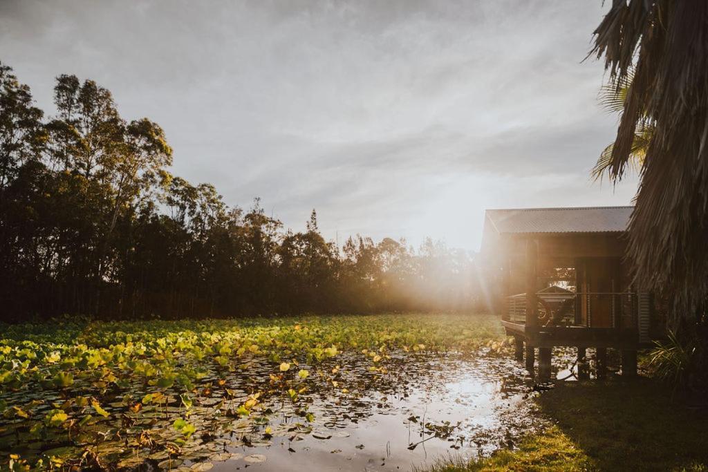 The Boathouses At Leaves & Fishes Lovedale Exteriör bild