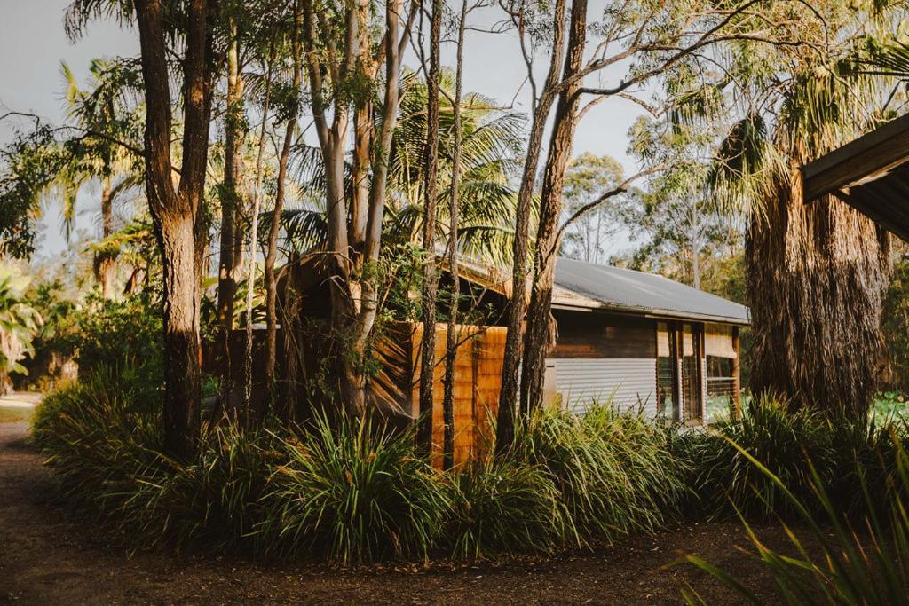 The Boathouses At Leaves & Fishes Lovedale Exteriör bild