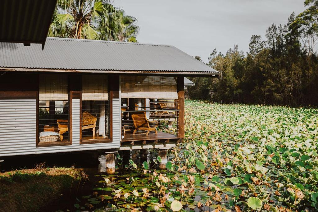 The Boathouses At Leaves & Fishes Lovedale Exteriör bild