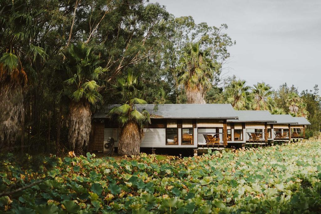 The Boathouses At Leaves & Fishes Lovedale Exteriör bild