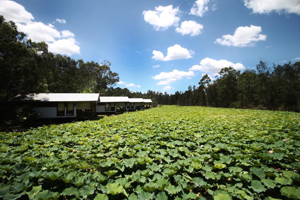 The Boathouses At Leaves & Fishes Lovedale Exteriör bild